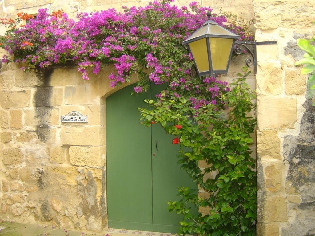 "Steves Villas" Villa Ta Rosi Xagħra Værelse billede