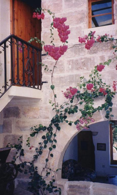 "Steves Villas" Villa Ta Rosi Xagħra Eksteriør billede